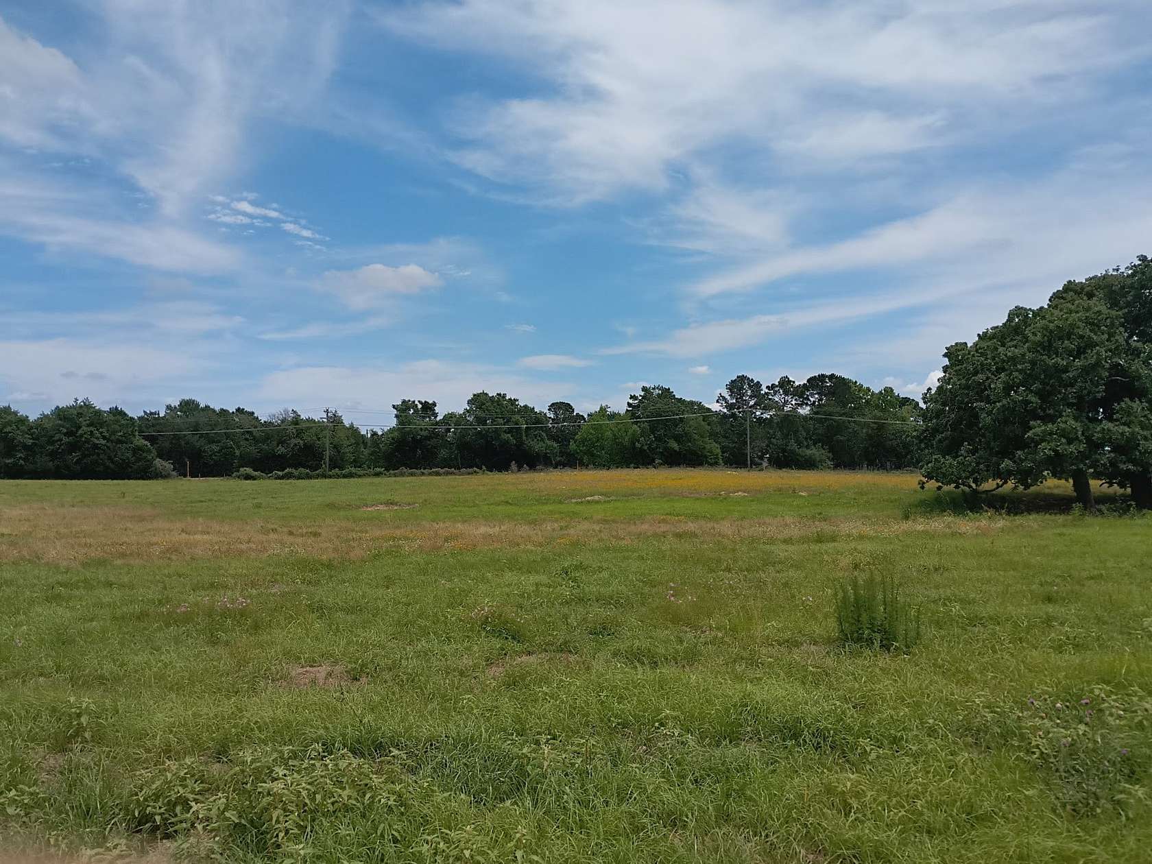 35 Acres of Land for Sale in Donie, Texas