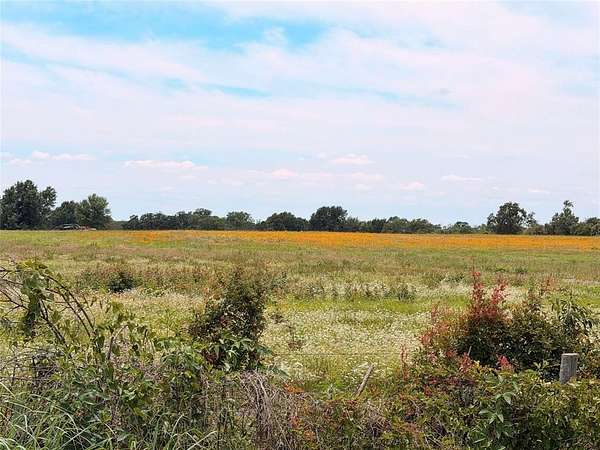 35 Acres of Land for Sale in Donie, Texas