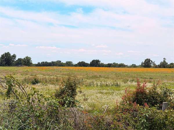 35 Acres of Land for Sale in Donie, Texas