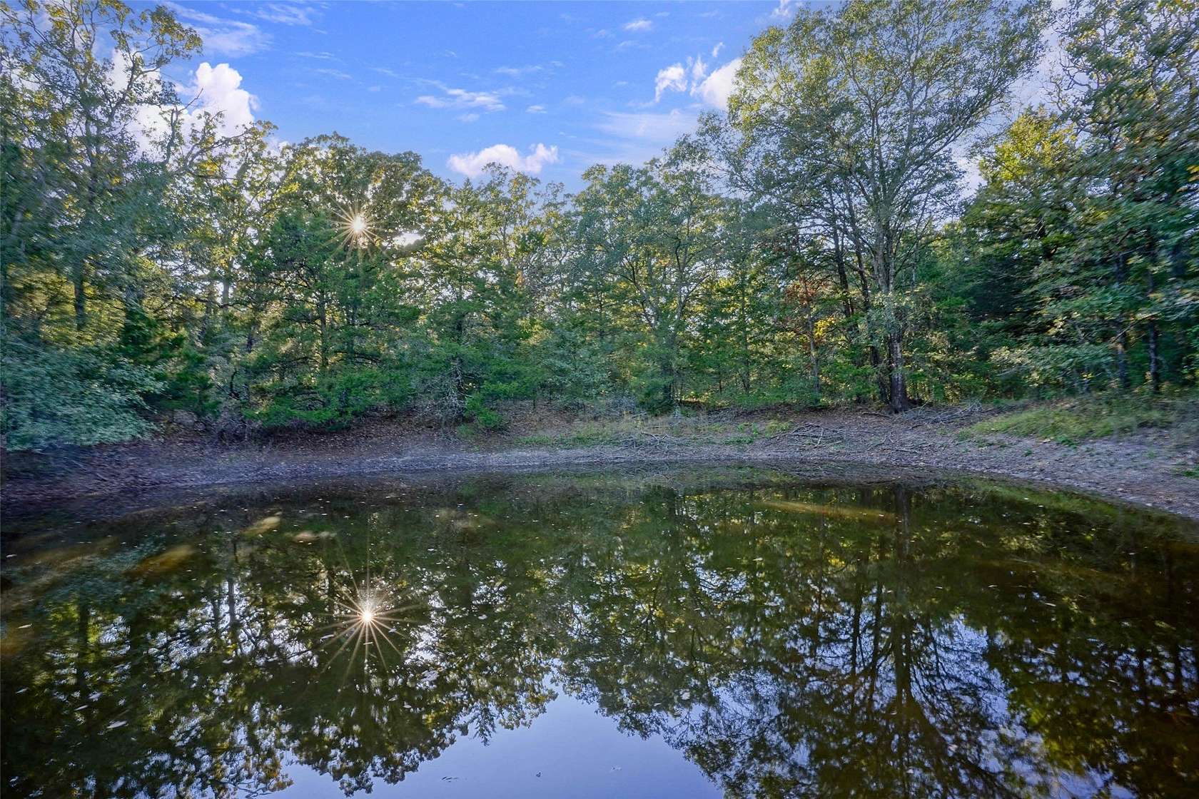 45 Acres of Land for Sale in Teague, Texas
