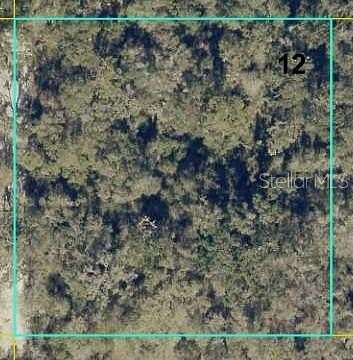 2.5 Acres of Residential Land for Sale in Webster, Florida