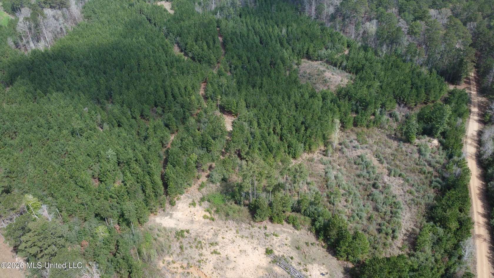 30 Acres of Recreational Land for Sale in Crosby, Mississippi