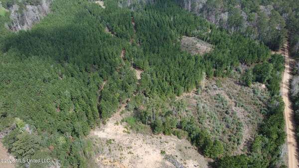 30 Acres of Recreational Land for Sale in Crosby, Mississippi