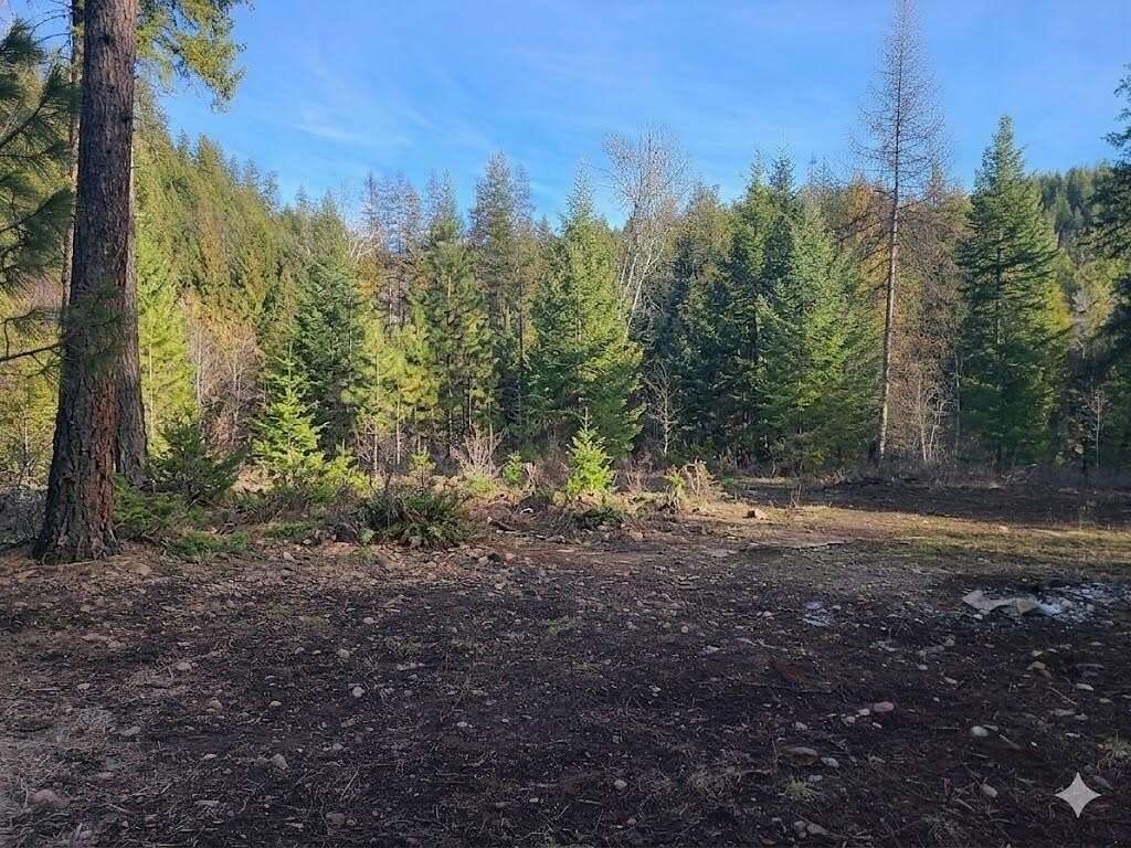 10 Acres of Recreational Land for Sale in Kettle Falls, Washington