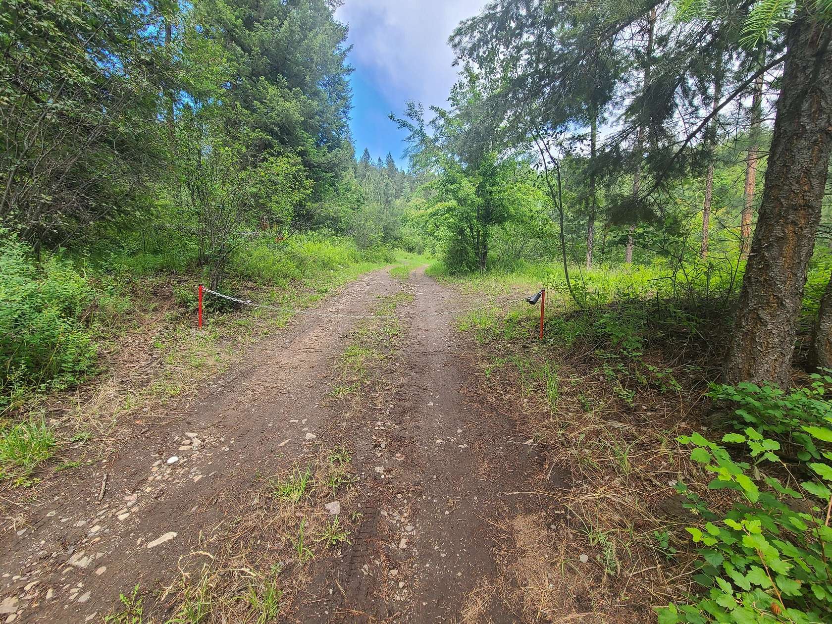 10 Acres of Recreational Land for Sale in Kettle Falls, Washington