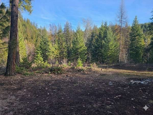 10 Acres of Recreational Land for Sale in Kettle Falls, Washington