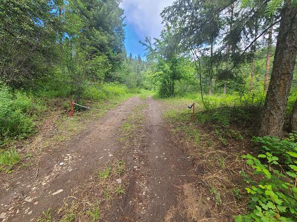 10 Acres of Recreational Land for Sale in Kettle Falls, Washington