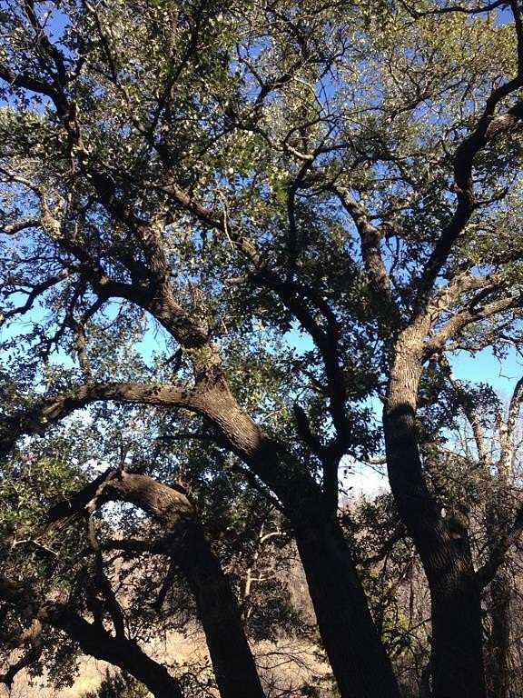 5 Acres of Land for Sale in Graford, Texas