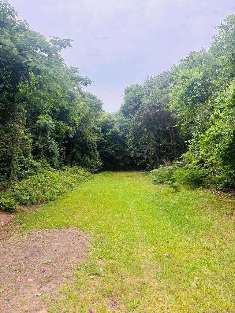 0.77 Acres of Residential Land for Sale in Rochelle, Georgia