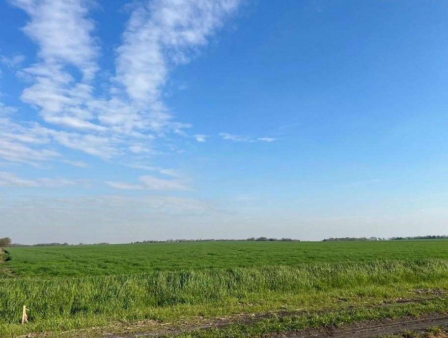 33.4 Acres of Land for Sale in Waxahachie, Texas