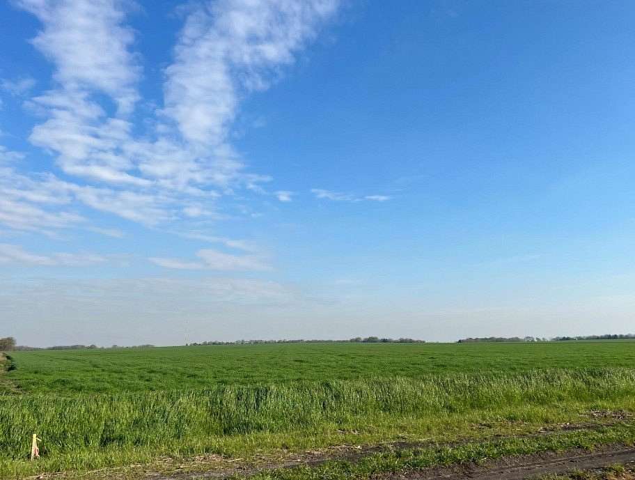 33.4 Acres of Land for Sale in Waxahachie, Texas