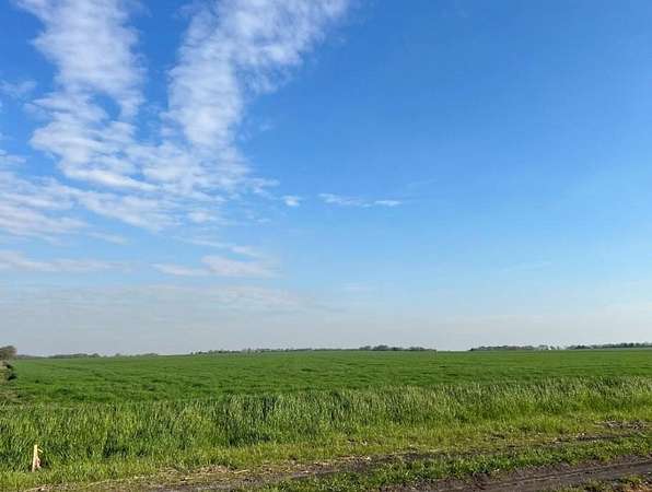 33.4 Acres of Land for Sale in Waxahachie, Texas