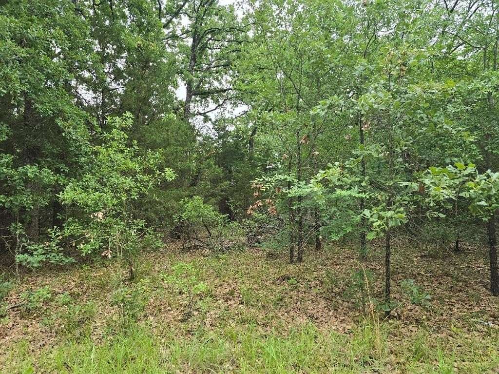 0.07 Acres of Residential Land for Sale in Mabank, Texas