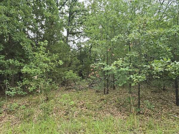 0.07 Acres of Residential Land for Sale in Mabank, Texas