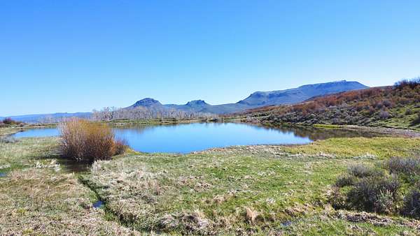 40 Acres of Recreational Land for Sale in Craig, Colorado