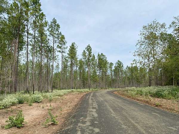 12 Acres of Land for Sale in Huntington, Texas