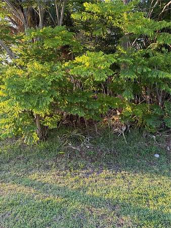 0.25 Acres of Land for Sale in Palm Coast, Florida