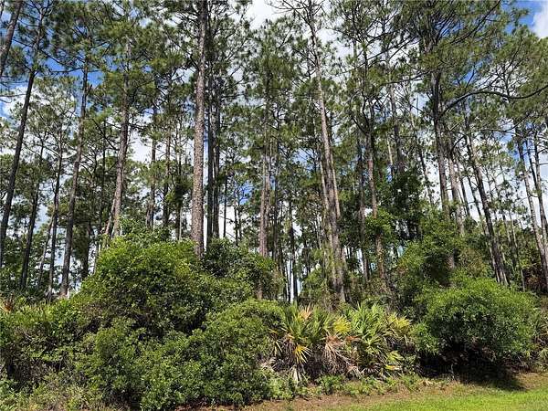 0.25 Acres of Land for Sale in Palm Coast, Florida