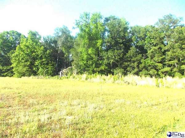6 Acres of Residential Land for Sale in Pamplico, South Carolina