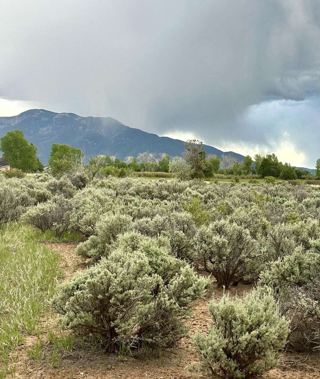 3.88 Acres of Residential Land for Sale in Arroyo Seco, New Mexico