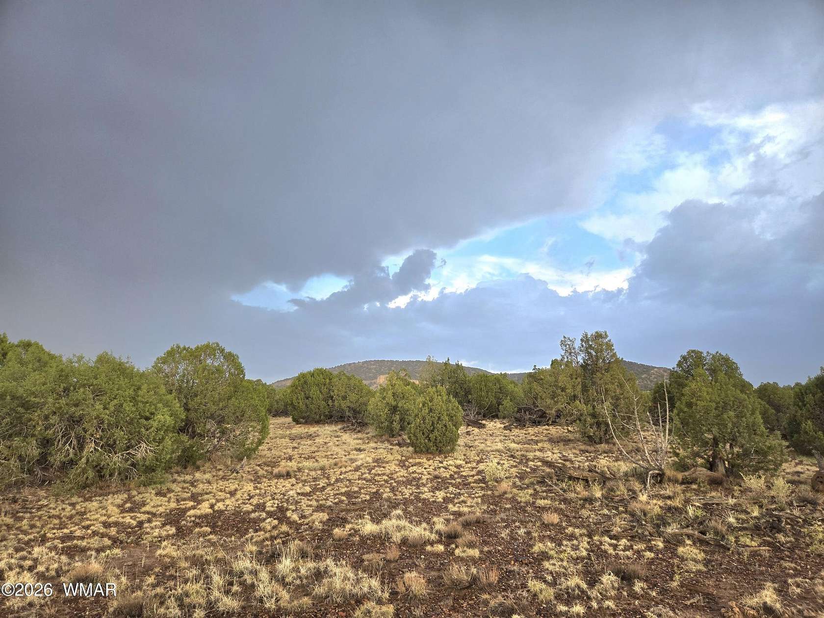 36.1 Acres of Recreational & Residential Land for Sale in Concho, Arizona