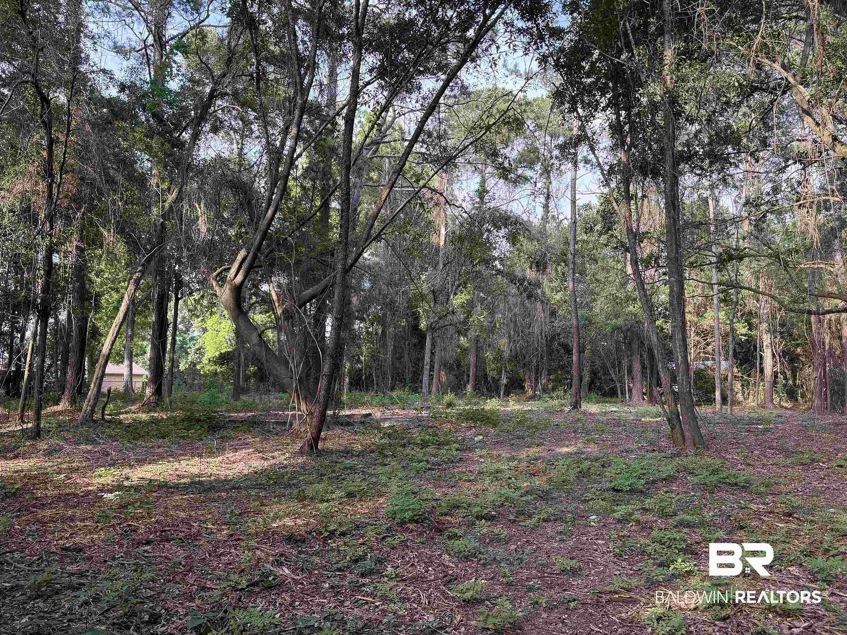Residential Land for Sale in Daphne, Alabama