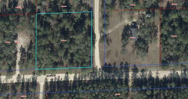 1 Acre of Land for Sale in Williston, Florida