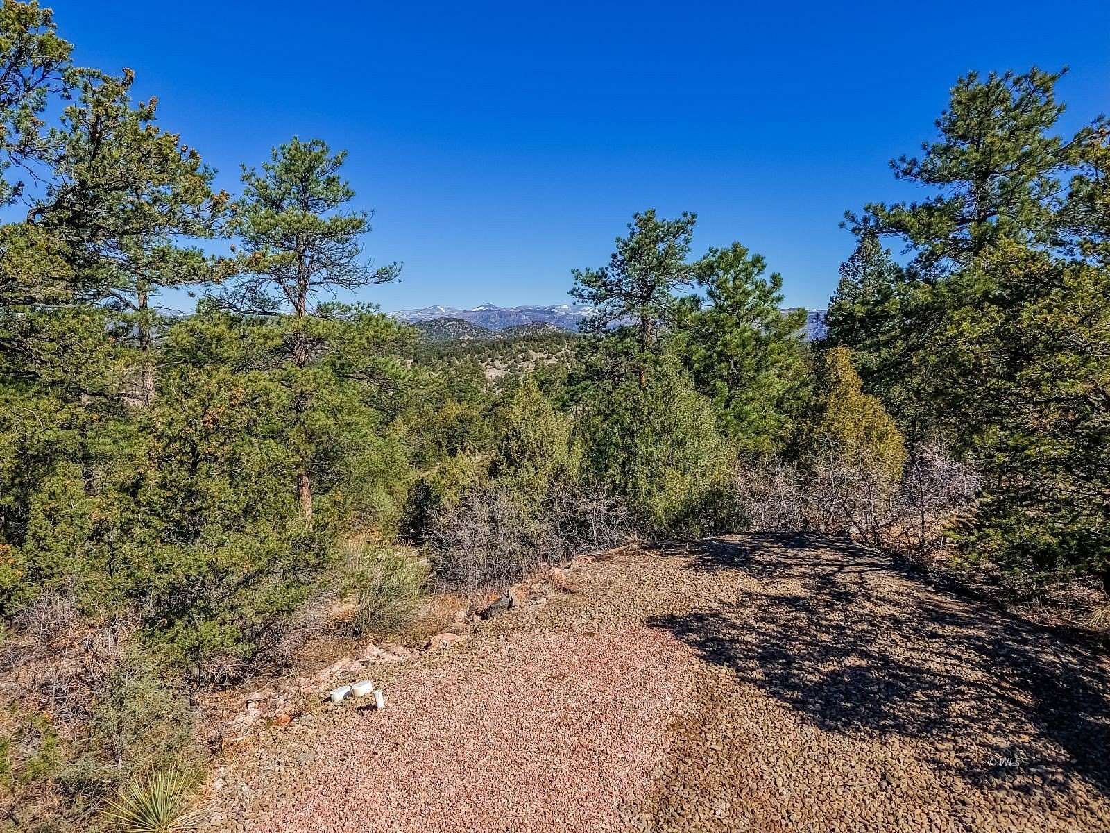 10.6 Acres of Recreational & Residential Land for Sale in Cotopaxi, Colorado