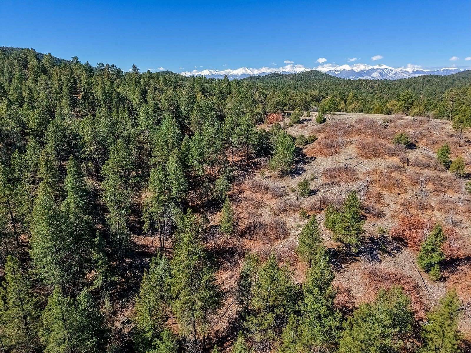 10.6 Acres of Recreational & Residential Land for Sale in Cotopaxi, Colorado