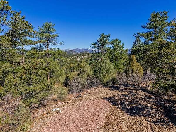 10.6 Acres of Recreational & Residential Land for Sale in Cotopaxi, Colorado