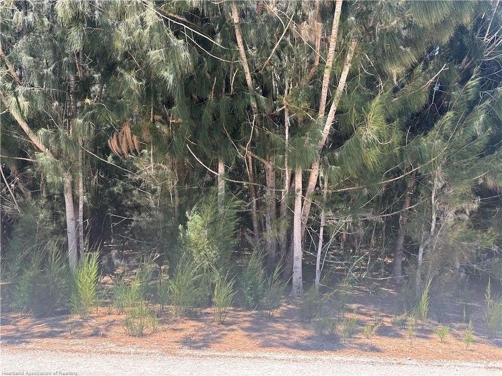 0.37 Acres of Residential Land for Sale in Avon Park, Florida
