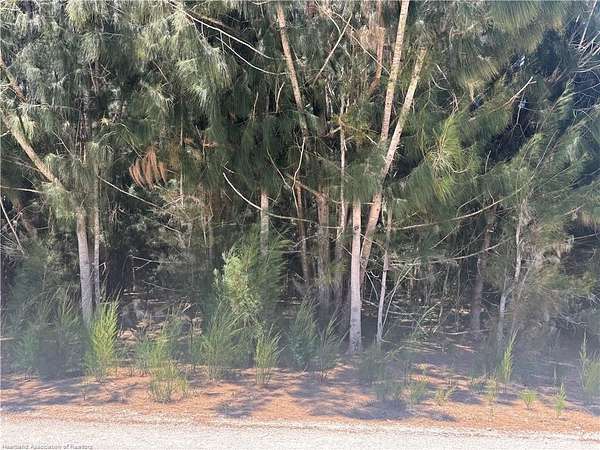 0.37 Acres of Residential Land for Sale in Avon Park, Florida