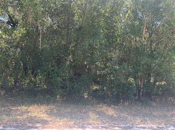 0.23 Acres of Residential Land for Sale in Avon Park, Florida