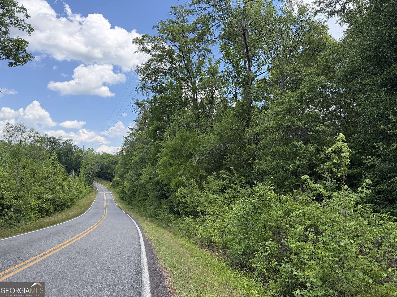 35.8 Acres of Recreational & Residential Land for Sale in Toomsboro, Georgia