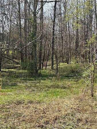 2.67 Acres of Residential Land for Sale in Fairmount, Georgia