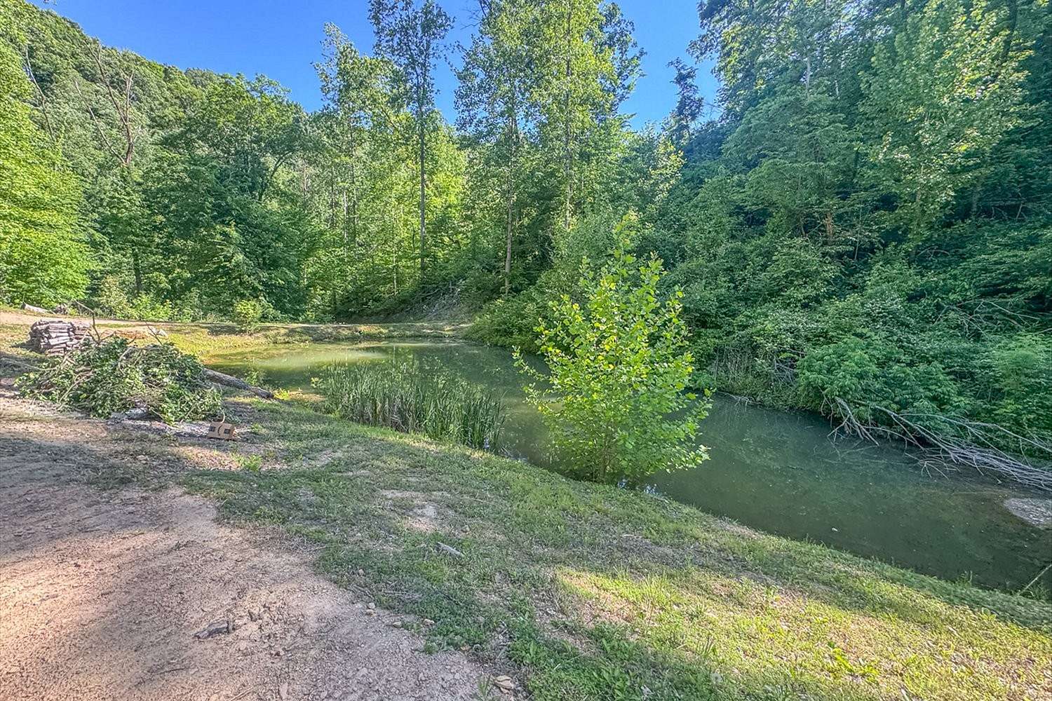 50.6 Acres of Recreational & Residential Land for Sale in Ashland City, Tennessee