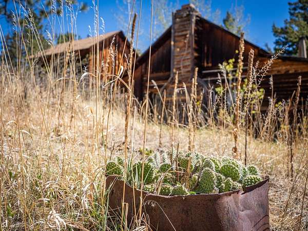 43.5 Acres of Land with Home for Sale in Drake, Colorado