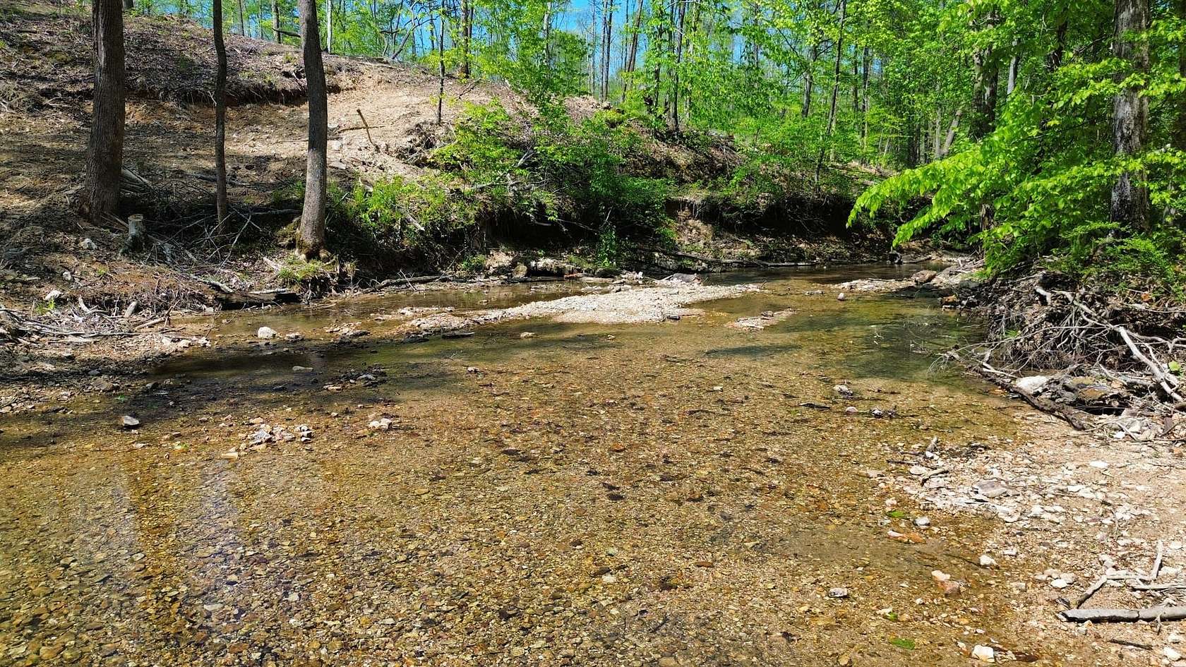 65.8 Acres of Land for Sale in Linden, Tennessee