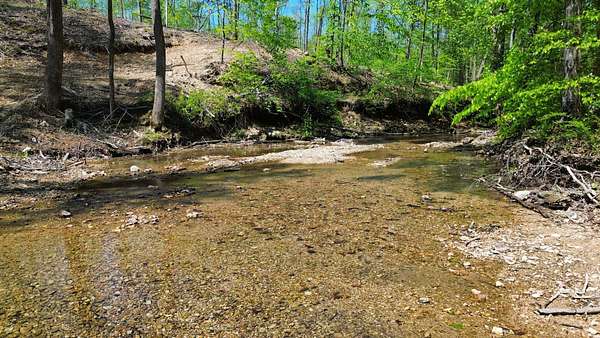 65.8 Acres of Land for Sale in Linden, Tennessee
