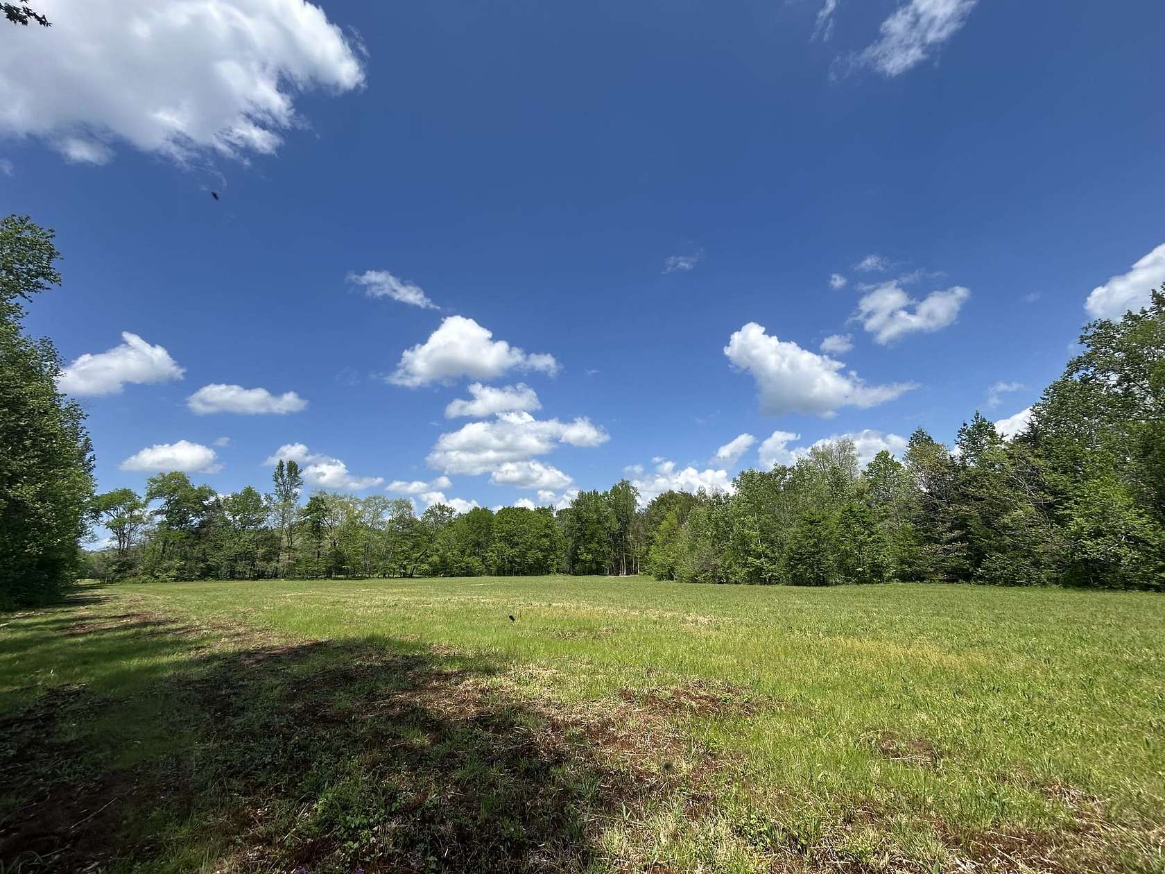34.5 Acres of Land for Sale in Linden, Tennessee