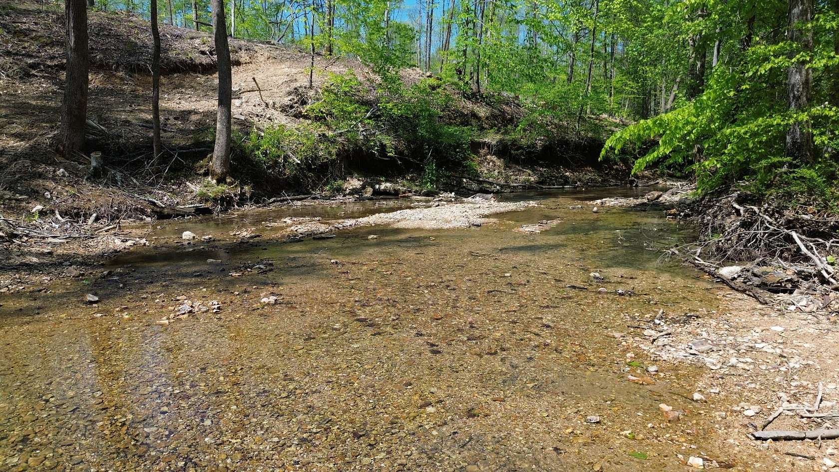 31.4 Acres of Land for Sale in Linden, Tennessee