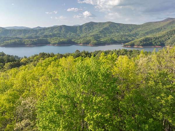 10 Acres of Recreational Land for Sale in Robbinsville, North Carolina