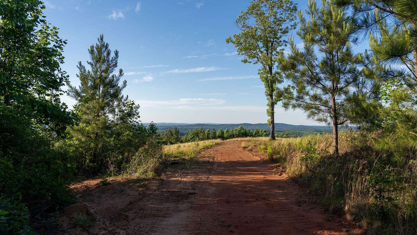164 Acres of Land for Sale in Heflin, Alabama