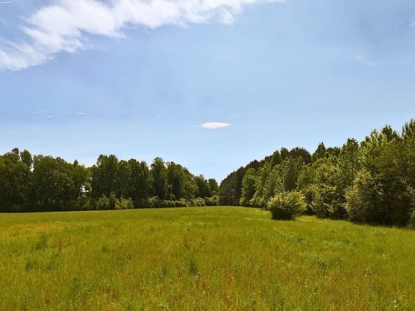 11.3 Acres of Recreational Land for Sale in Beulaville, North Carolina