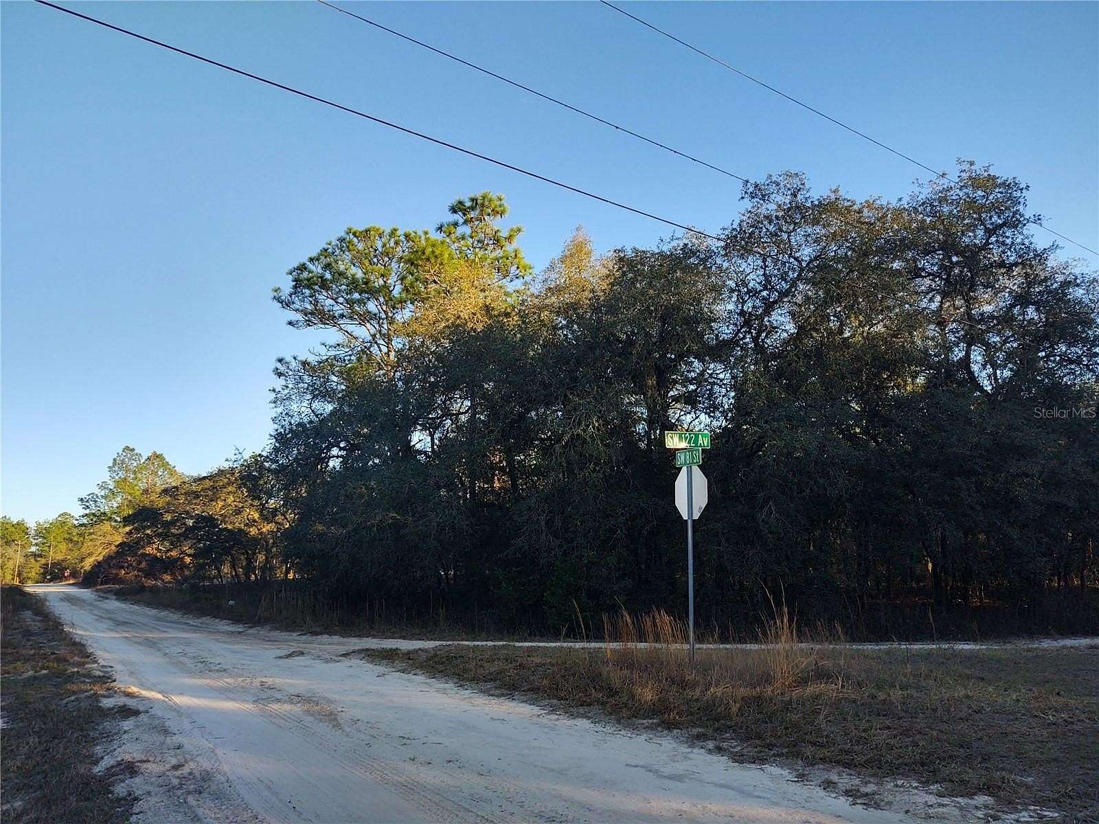 1 Acre of Residential Land for Sale in Dunnellon, Florida