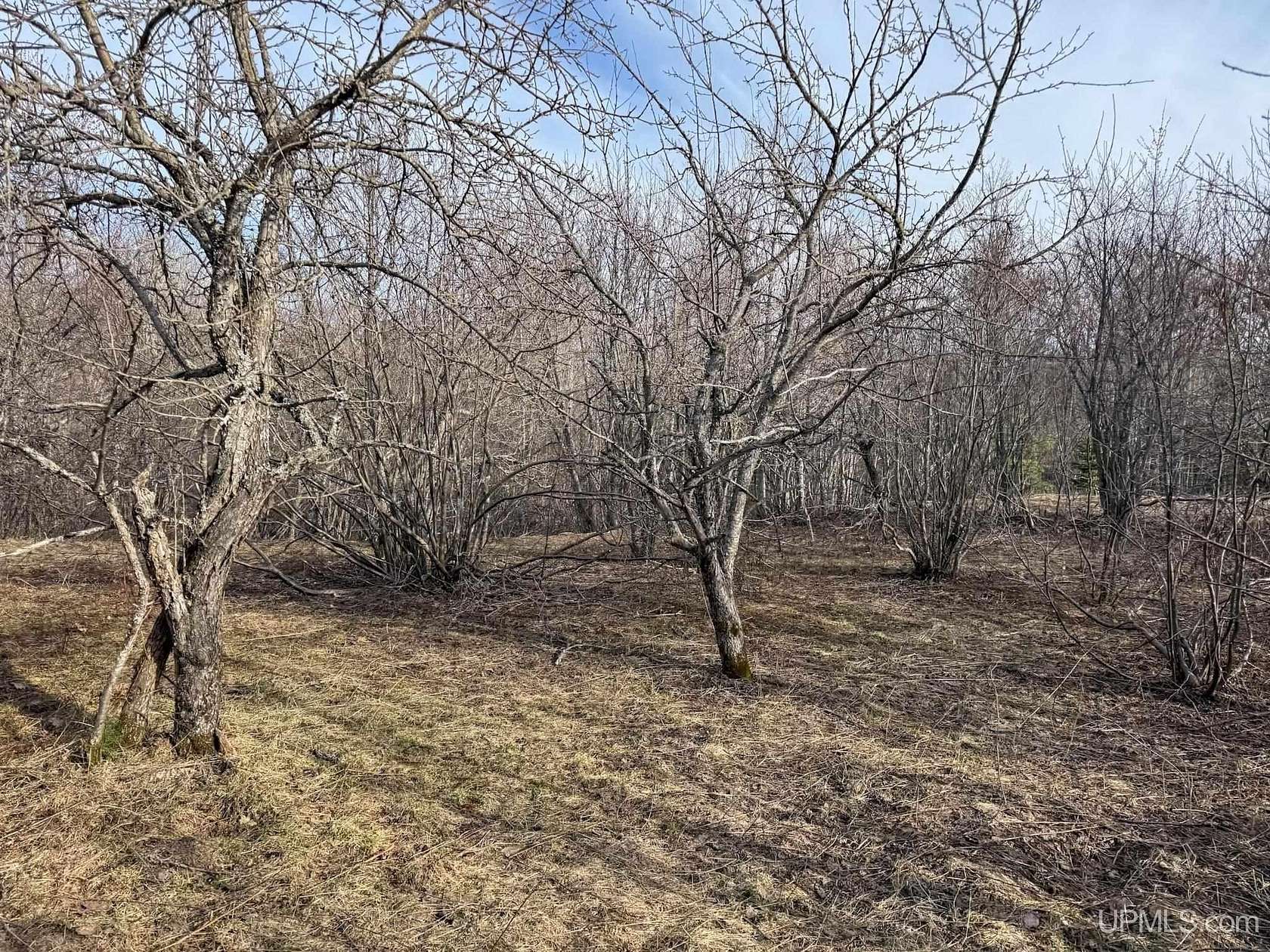 10 Acres of Residential Land for Sale in Mohawk, Michigan