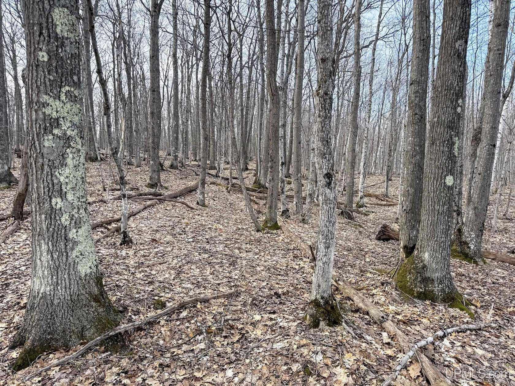 10 Acres of Residential Land for Sale in Mohawk, Michigan