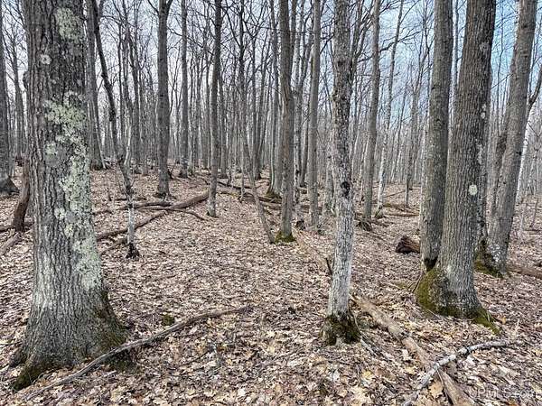 10 Acres of Residential Land for Sale in Mohawk, Michigan