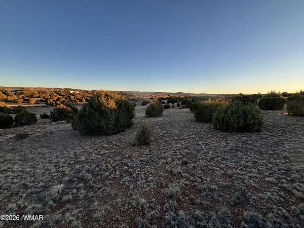 8.5 Acres of Land for Sale in Clay Springs, Arizona