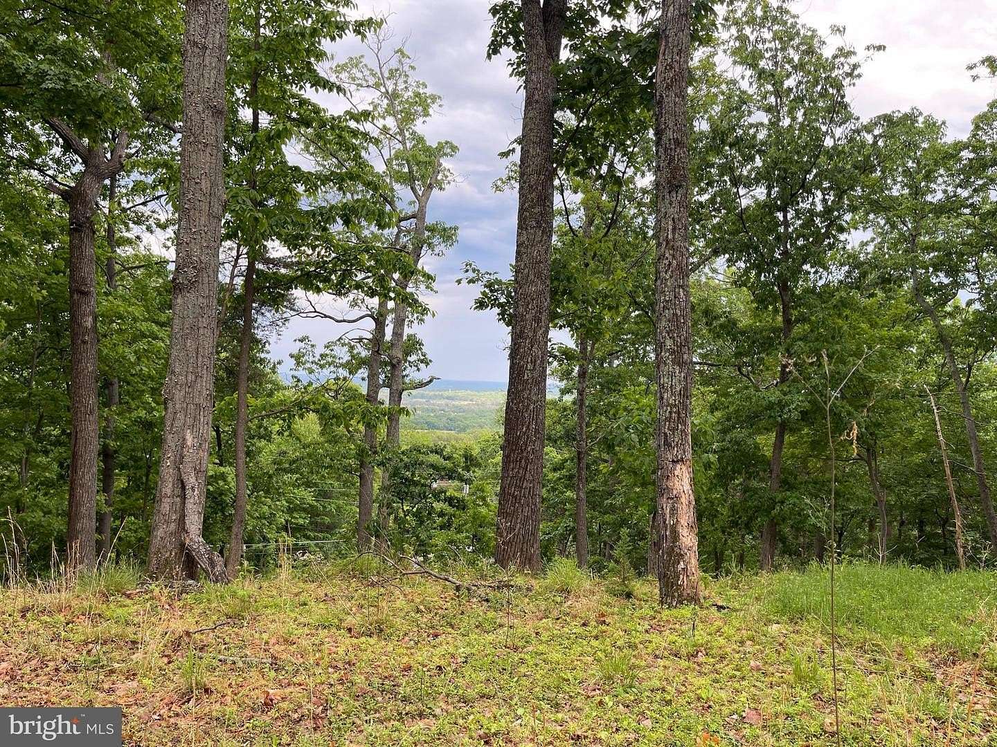 1.2 Acres of Residential Land for Sale in Haymarket, Virginia
